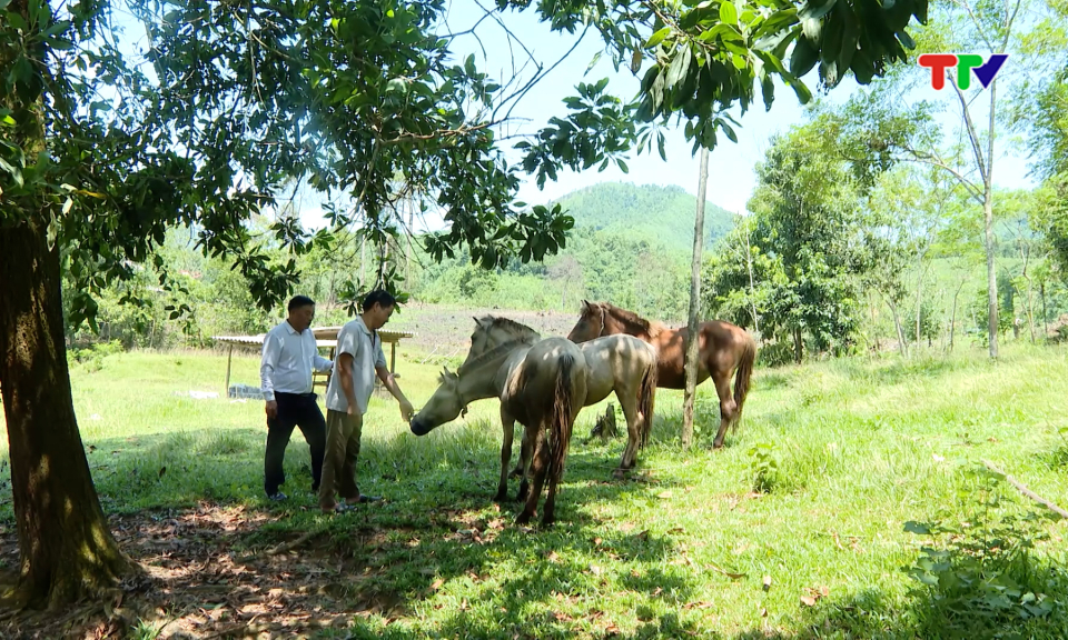 Tăng cường ph&ograve;ng, chống dịch bệnh &ndash; chăn nu&ocirc;i bền vững.