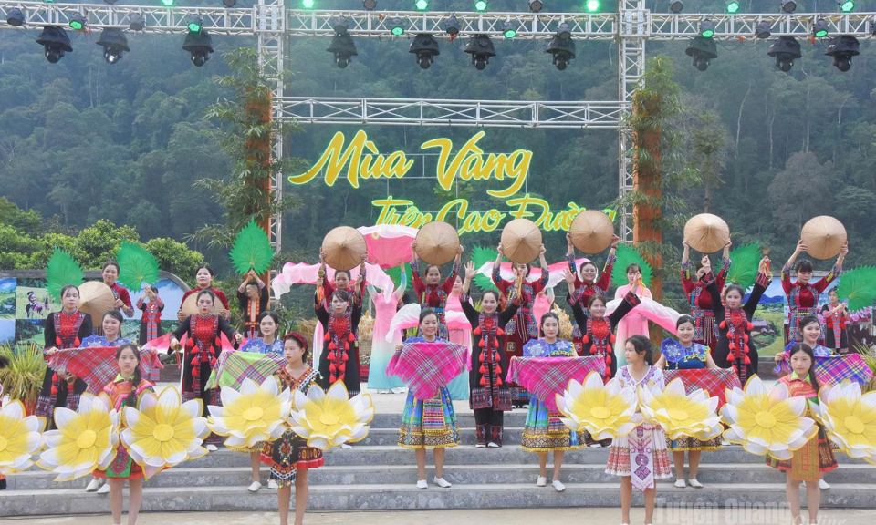 M&ugrave;a v&agrave;ng tr&ecirc;n Cao Đường