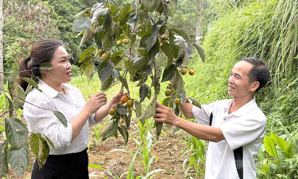 Đa dạng c&aacute;c m&ocirc; h&igrave;nh kinh tế của n&ocirc;ng d&acirc;n x&atilde; Hồng Th&aacute;i