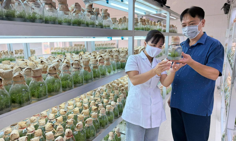 N&ocirc;ng nghiệp c&ocirc;ng nghệ cao - Ch&igrave;a kh&oacute;a dẫn dắt kinh tế xanh