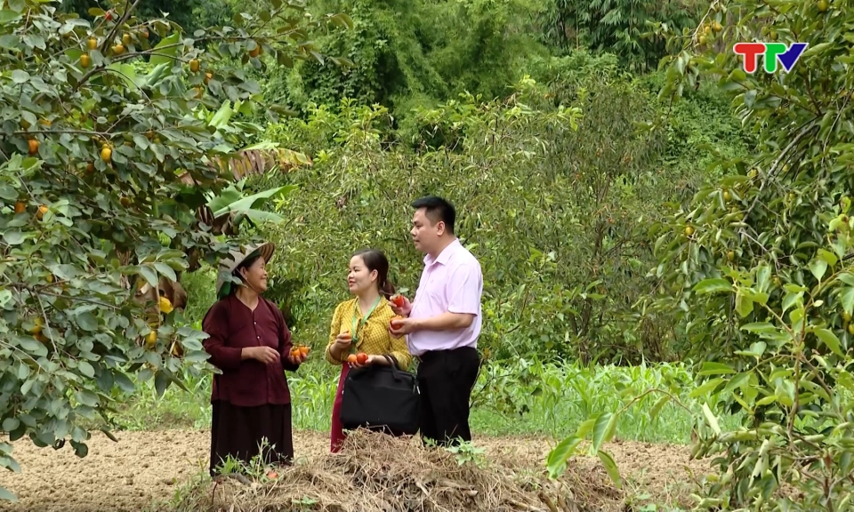 Để đồng vốn mở đường sinh kế cho Nh&acirc;n d&acirc;n