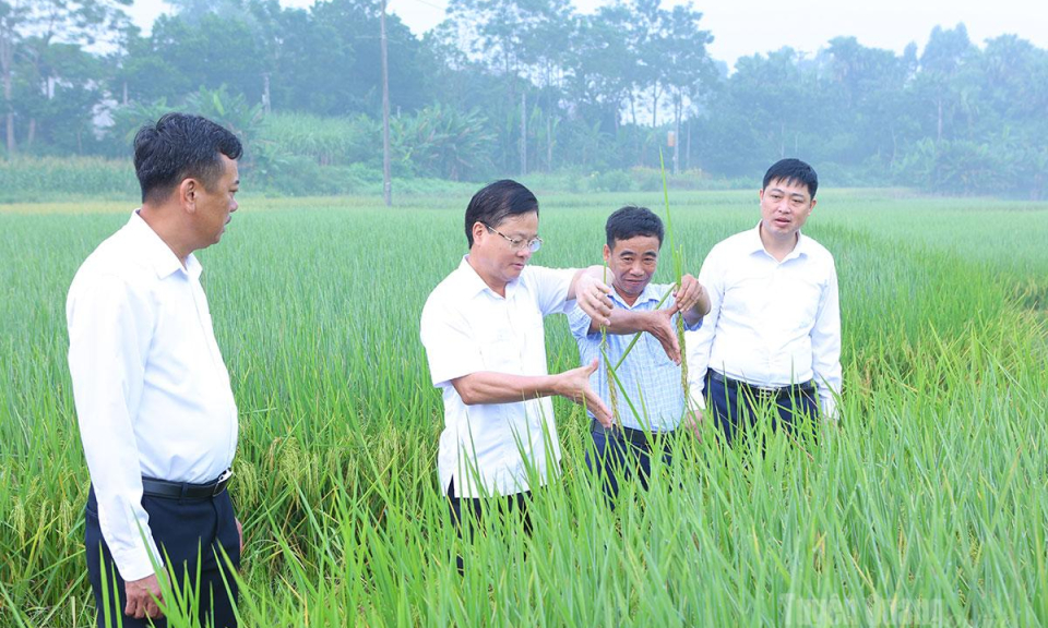 Quyết t&acirc;m ho&agrave;n th&agrave;nh thắng lợi c&aacute;c mục ti&ecirc;u, nhiệm vụ qu&yacute; IV