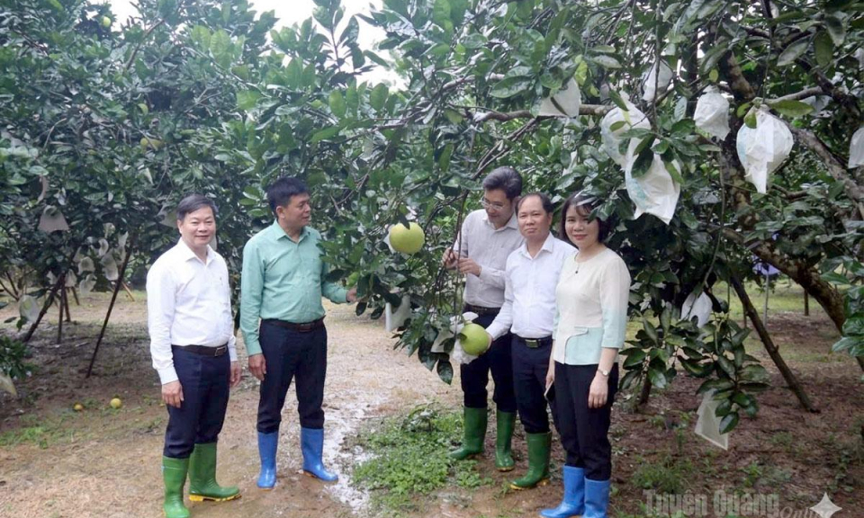 Đặt h&agrave;ng nhiệm vụ khoa học, c&ocirc;ng nghệ