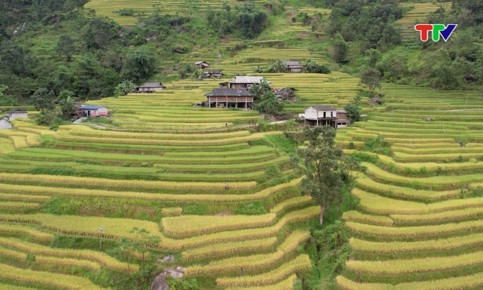 Điểm hẹn xứ Tuy&ecirc;n| M&ugrave;a v&agrave;ng ở Bản M&aacute;y.
