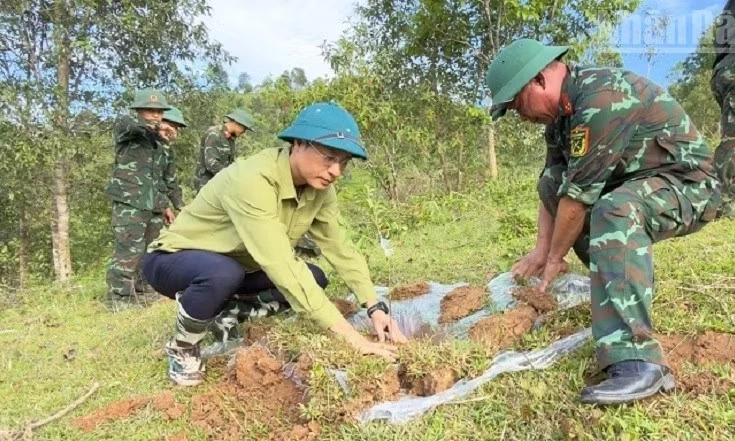 Hỗ trợ người d&acirc;n ở bi&ecirc;n giới Việt Nam-Trung Quốc thực hiện m&ocirc; h&igrave;nh trồng c&acirc;y ăn quả
