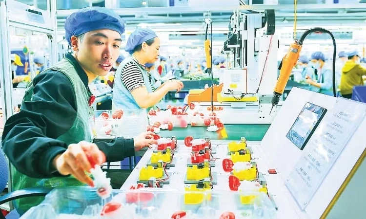 Quy chế quản l&yacute; rủi ro hoạt động đầu tư từ Quỹ Bảo hiểm x&atilde; hội, bảo hiểm y tế, bảo hiểm thất nghiệp