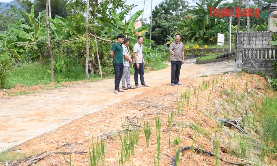 Đưa nghị quyết v&agrave;o cuộc sống