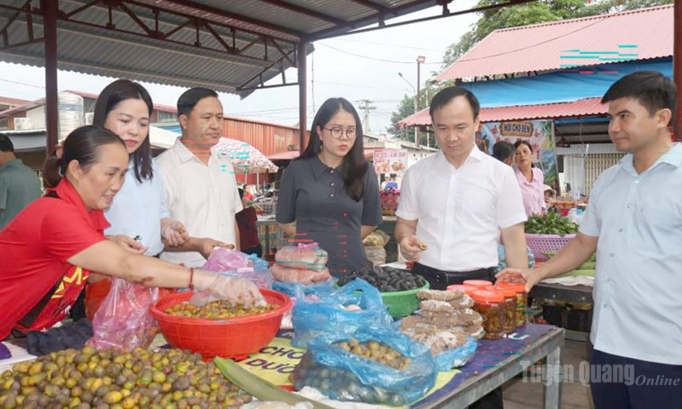 Bắc Quang đ&aacute;nh thức lợi thế để giảm ngh&egrave;o
