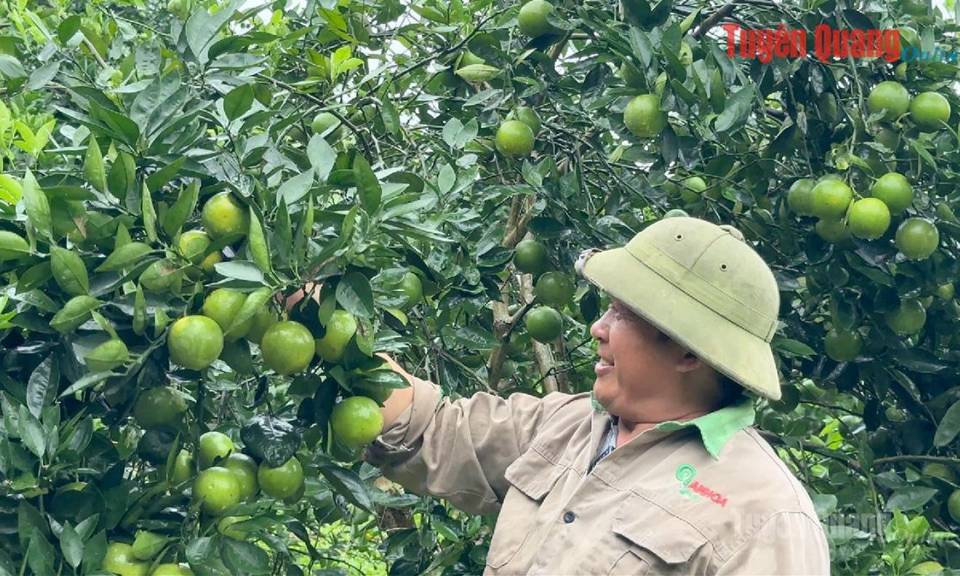 Đưa c&ocirc;ng nghệ về n&ocirc;ng th&ocirc;n