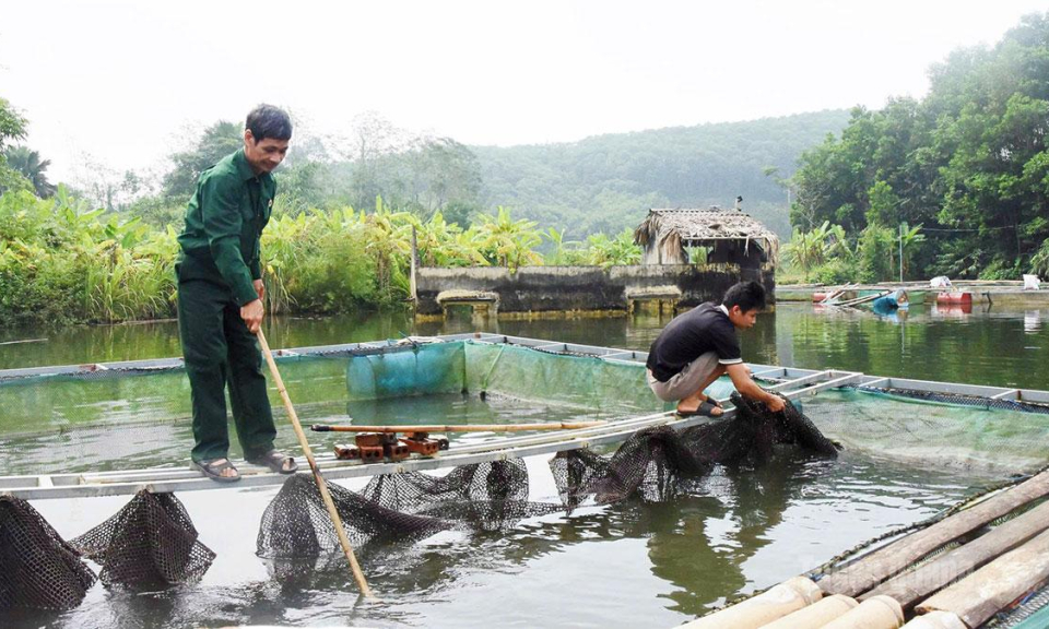 Chuyện &ocirc;ng Giang nu&ocirc;i c&aacute; lồng