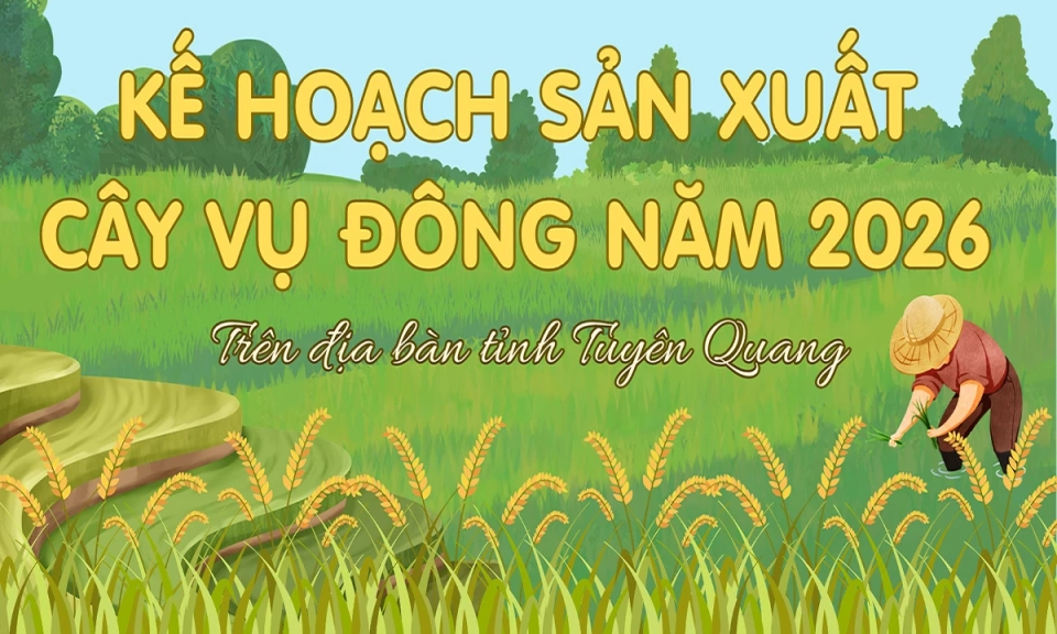 Kế hoạch sản xuất c&acirc;y vụ đ&ocirc;ng năm 2026 tr&ecirc;n địa b&agrave;n tỉnh Tuy&ecirc;n Quang