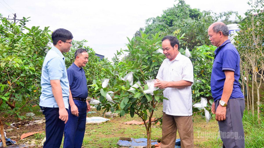 Hội viên người cao tuổi xã Tân Quang phát triển kinh tế từ tiềm năng, thế mạnh của địa phương.