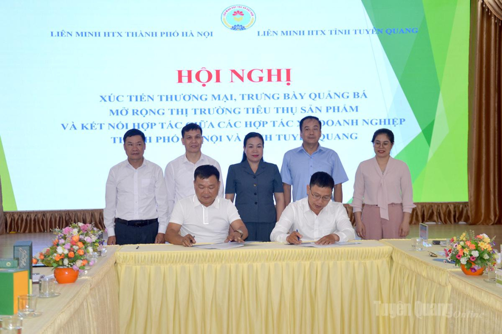 Các hợp tác xã Tuyên Quang- Hà Nội ký kết tiêu thụ sản phẩm nông sản.