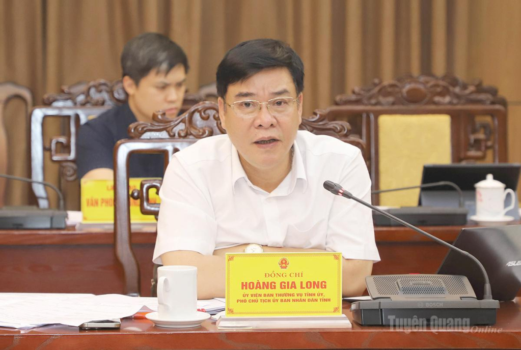 Phó Chủ tịch UBND tỉnh Hoàng Gia Long phát biểu tại buổi làm việc.