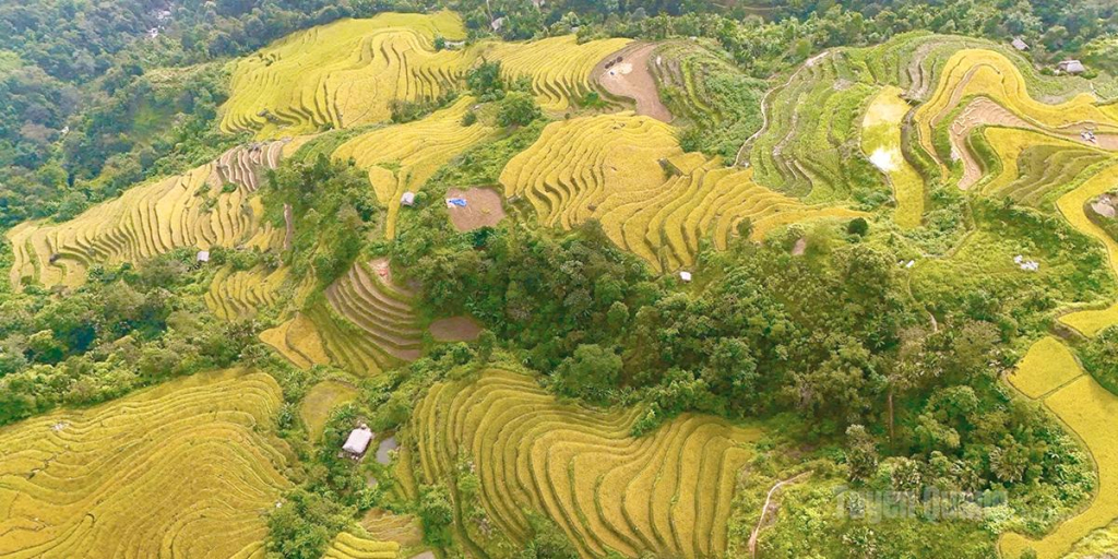 (Không chú thích).