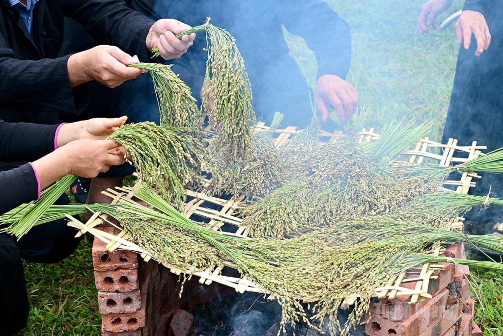 Kỹ thuật nướng lúa rất quan trọng.