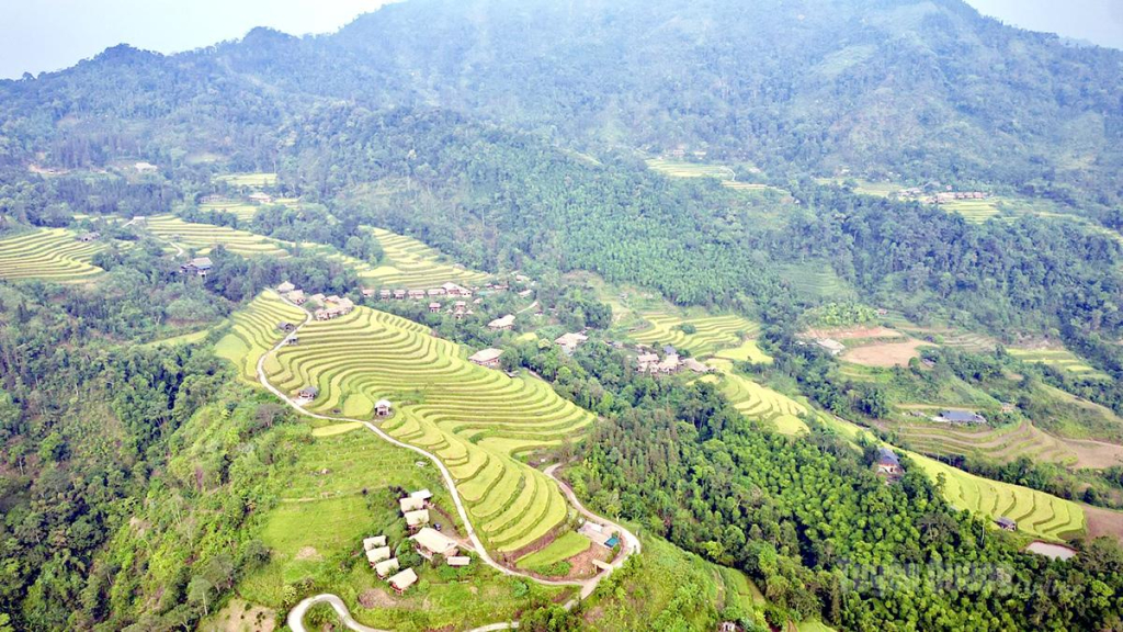 Từ trên cao nhìn xuống, từng lớp ruộng bậc thang nối nhau trải dài, ôm lấy những triền núi, lúc mềm mại như những dải lụa, lúc óng ánh dưới nắng thu.