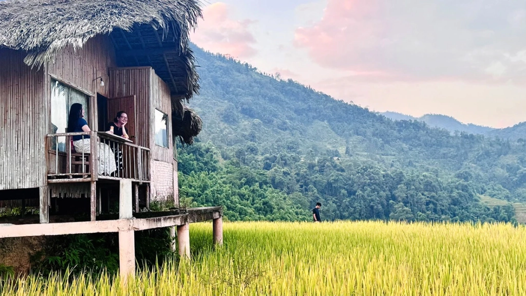 Từ những bungalow nép mình bên triền ruộng, chỉ cần đưa mắt ra xa là bắt gặp cả một mùa vàng óng ả dường như giúp chúng ta quên đi những phiền muội trong cuộc sống.