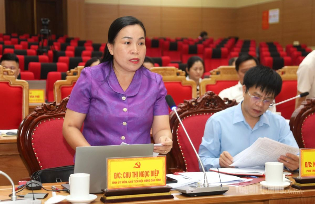 Đồng chí Chu Thị Ngọc Diệp, Uỷ viên BCH Đảng bộ tỉnh, Chủ tịch Hội Nông dân tỉnh phát biểu tại buổi làm việc.
