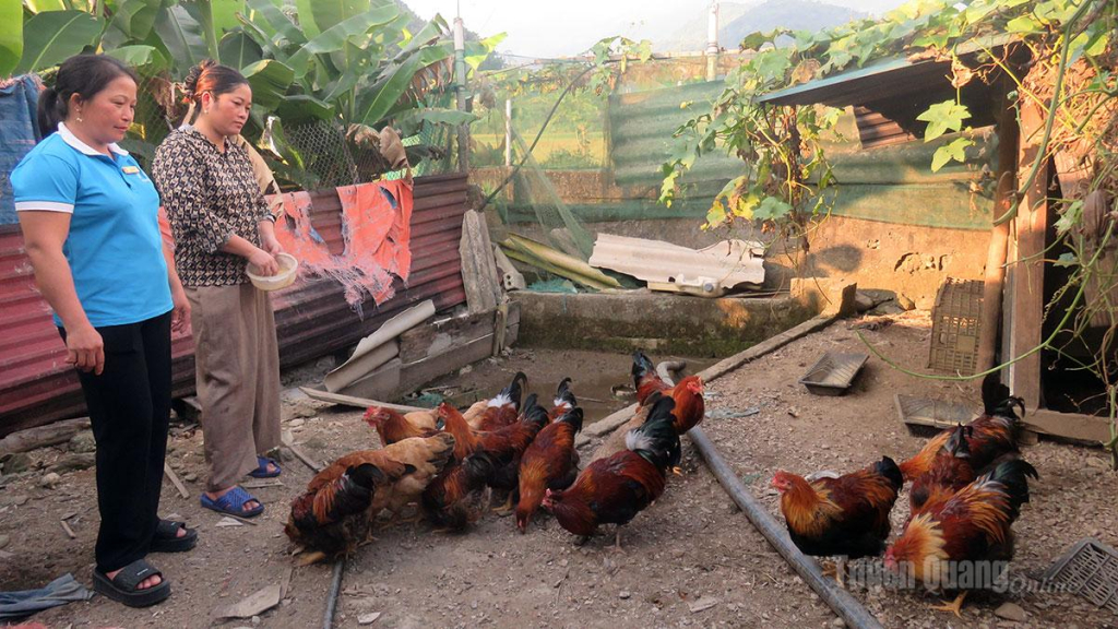 Hội viên phụ nữ xã Quảng Nguyên phát triển kinh tế từ chăn nuôi, tạo thêm nguồn thu cho gia đình.