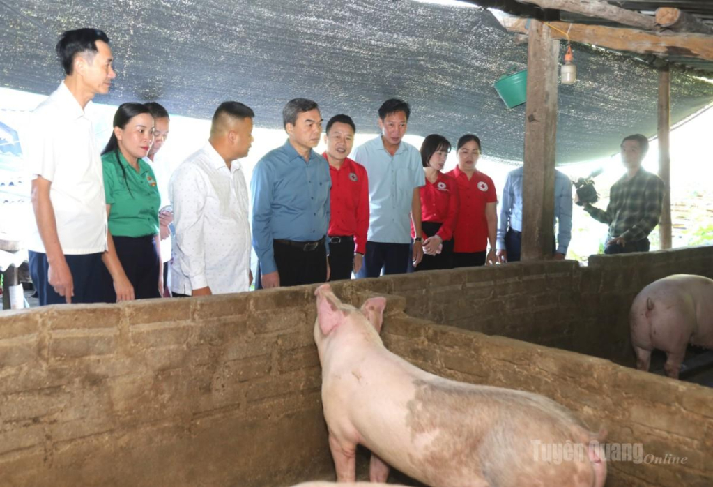 Phó Bí thư Tỉnh ủy, Chủ tịch Ủy ban MTTQ Việt Nam tỉnh Ma Thế Hồng và lãnh đạo các sở, ngành thăm mô hình phát triển kinh tế trên địa bàn xã Tân Tiến.