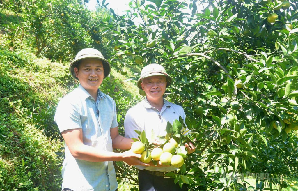 Nhờ sự đồng hành, lan tỏa của đồng chí Phạm Hồng Thanh, Bí thư Đảng ủy, Chủ tịch HĐND xã Đồng Yên (bên phải) sản phẩm cam Vàng đặc trưng được nhiều người biết đến.