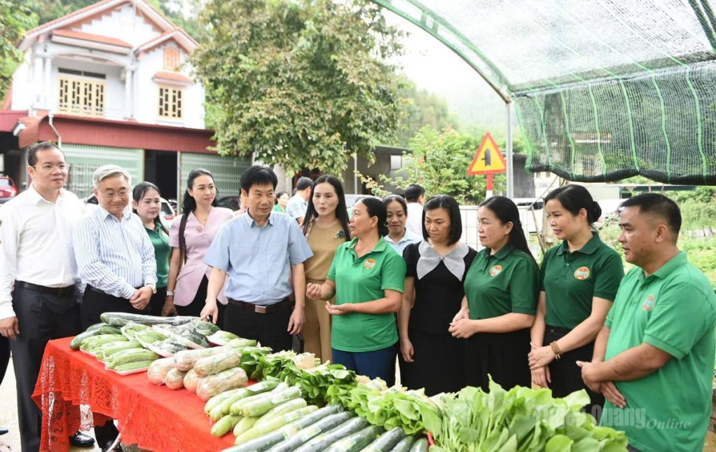 Trung ương Hội Nông dân Việt Nam, lãnh đạo Hội Nông dân tỉnh thăm mô hình sản xuất rau, củ, quả hữu cơ trong nhà màng gắn với liên kết tiêu thụ của HTX Sáng Nhung tại xã Thái Bình.