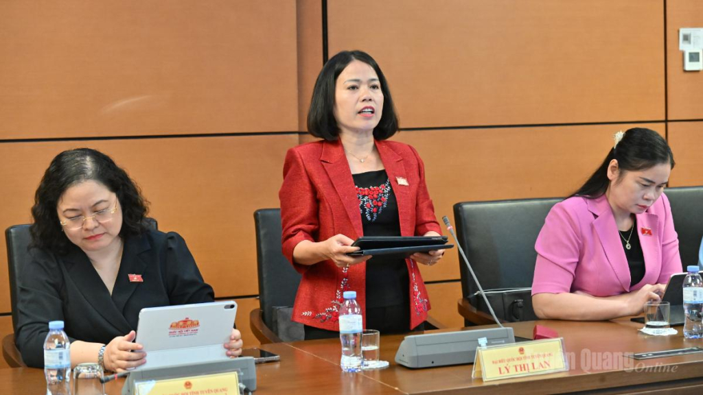 Đại biểu Lý Thị Lan phát biểu thảo luận về Dự án Luật Phát triển doanh nghiệp nhỏ và vừa.
