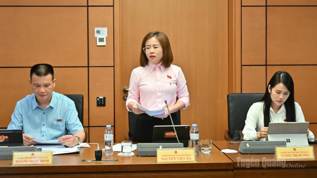 Đại biểu Nguyễn Việt Hà phát biểu thảo luận tại phiên họp Tổ.