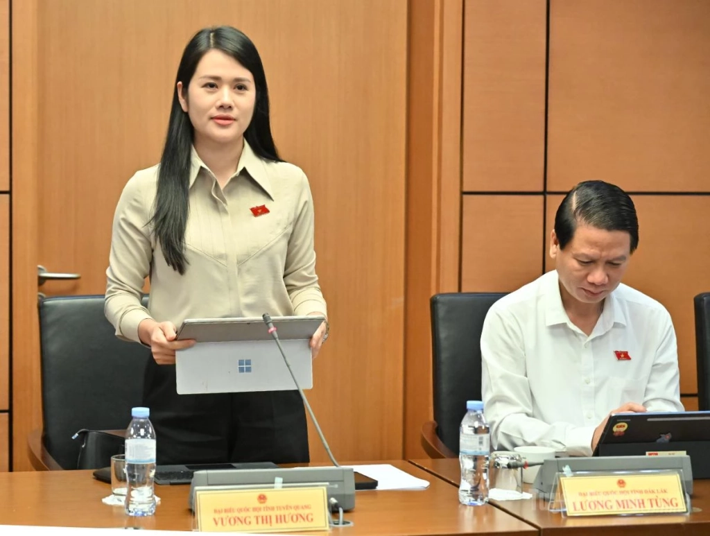 Đại biểu Quốc hội Vương Thị Hương thảo luận.