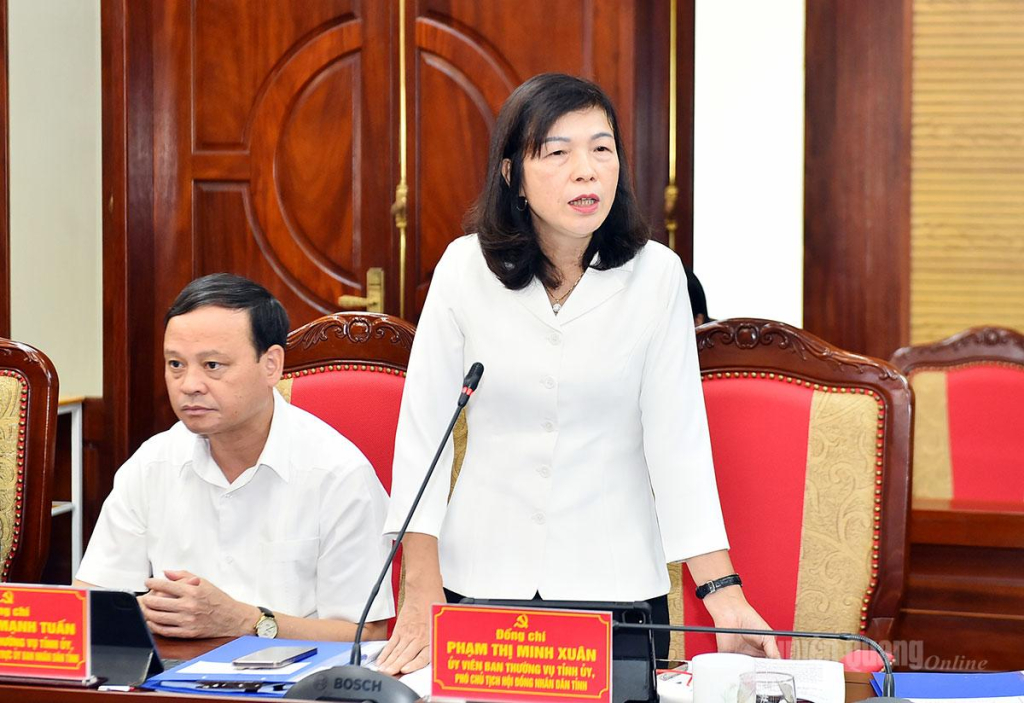 Đồng chí Phạm Thị Minh Xuân, Phó Chủ tịch HĐND tỉnh phát biểu tại hội nghị.