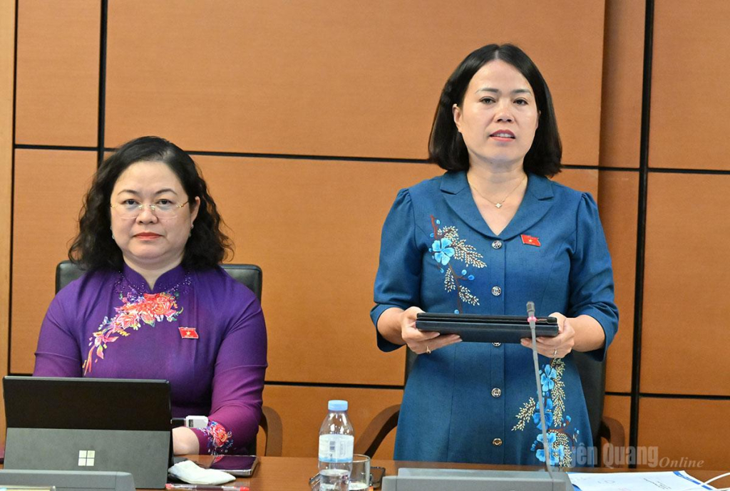 Phó Trưởng đoàn đại biểu Quốc hội chuyên trách tỉnh Lý Thị Lan tham gia thảo luận.