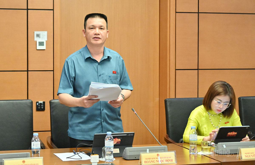 ĐBQH Hoàng Ngọc Định thảo luận.