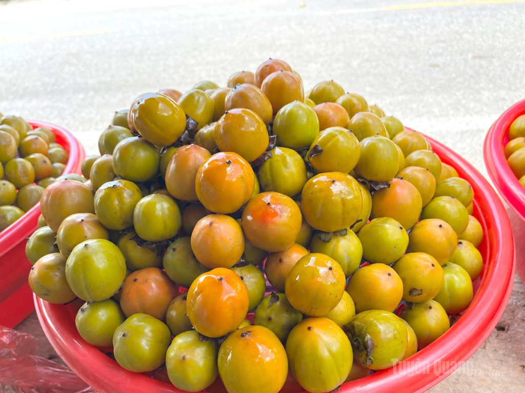 Hồng không hạt Nghĩa Thuận quả căng mọng, chuyển sắc vàng óng.
