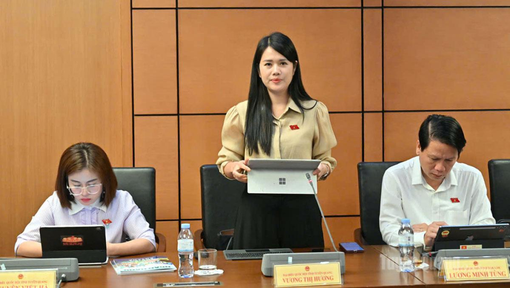 ĐBQH Vương Thị Hương phát biểu ý kiến.