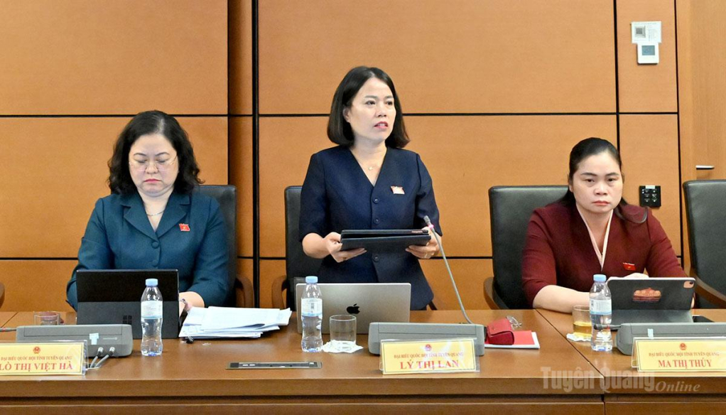 ĐBQH Lý Thị Lan phát biểu ý kiến.