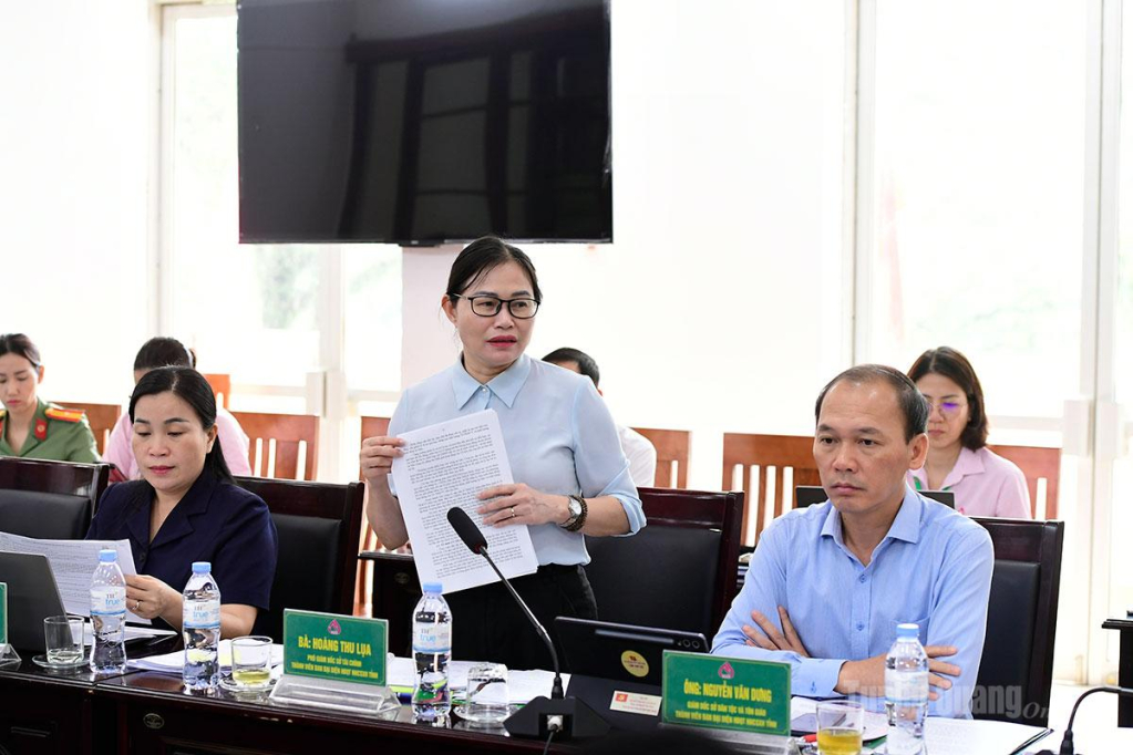Lãnh đạo Sở Tài chính phát biểu tại phiên họp.