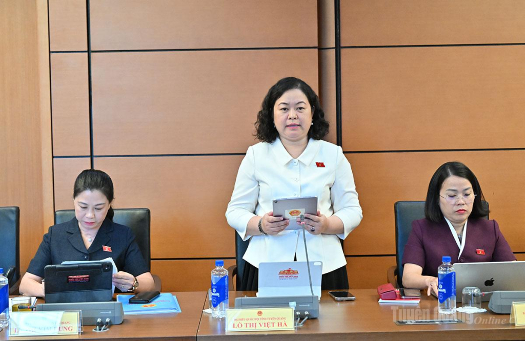 ĐBQH Lò Thị Việt Hà phát biểu.