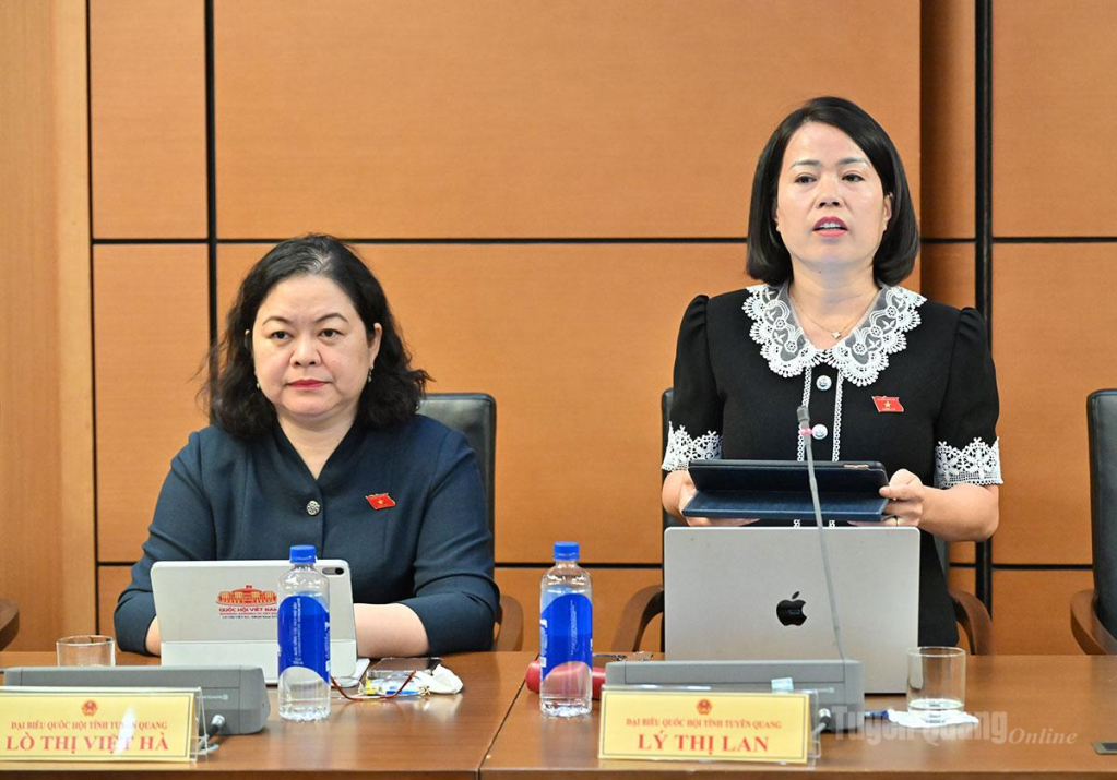 ĐBQH Lý Thị Lan phát biểu ý kiến.