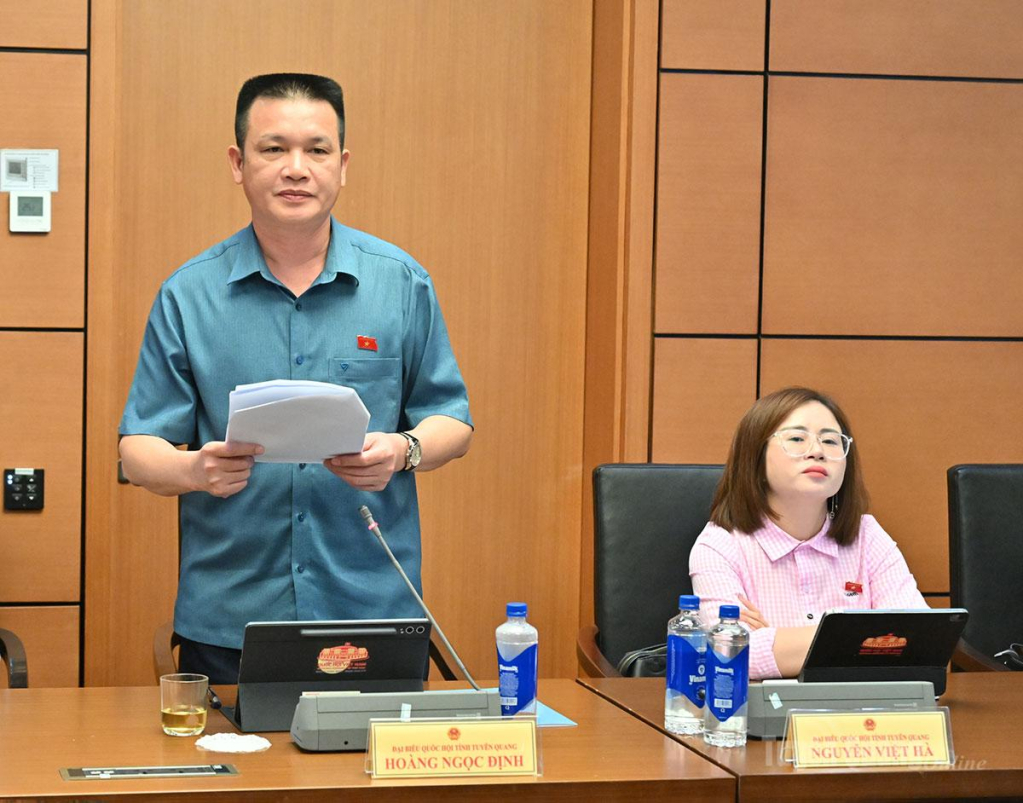 ĐBQH  Hoàng Ngọc Định thảo luận.