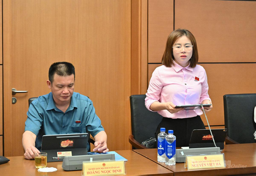 ĐBQH Nguyễn Việt Hà phát biểu ý kiến.