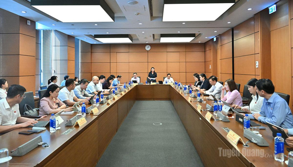 Đồng chí Lê Thị Kim Dung, Phó Bí thư Thường trực Tỉnh ủy, Trưởng đoàn ĐBQH tỉnh chủ trì phiên thảo thảo luận tổ chiều ngày 23-10.