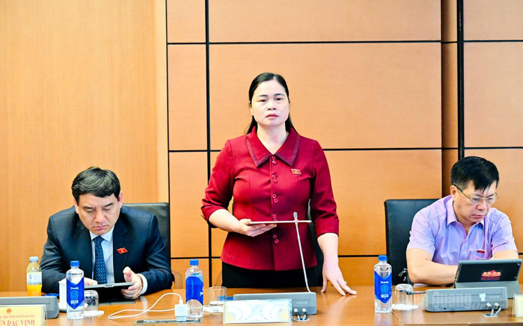 ĐBQH Ma Thị Thúy  thảo luận dự thảo Luật sửa đổi, bổ sung một số điều của Luật Bảo vệ môi trường.