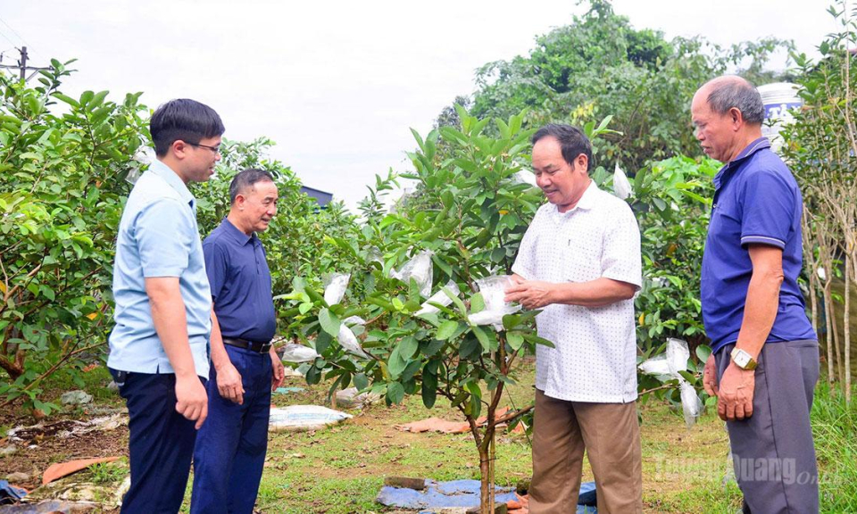 Đ&aacute;nh thức kinh tế bạc