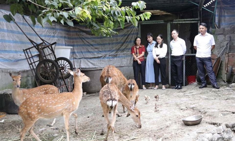 Sủng M&aacute;ng x&acirc;y dựng nếp sống văn h&oacute;a