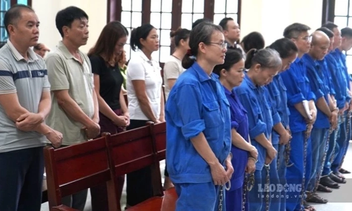 Tuy&ecirc;n &aacute;n 17 bị c&aacute;o vụ vi phạm quy định về an to&agrave;n thực phẩm tại Đồ hộp Hạ Long