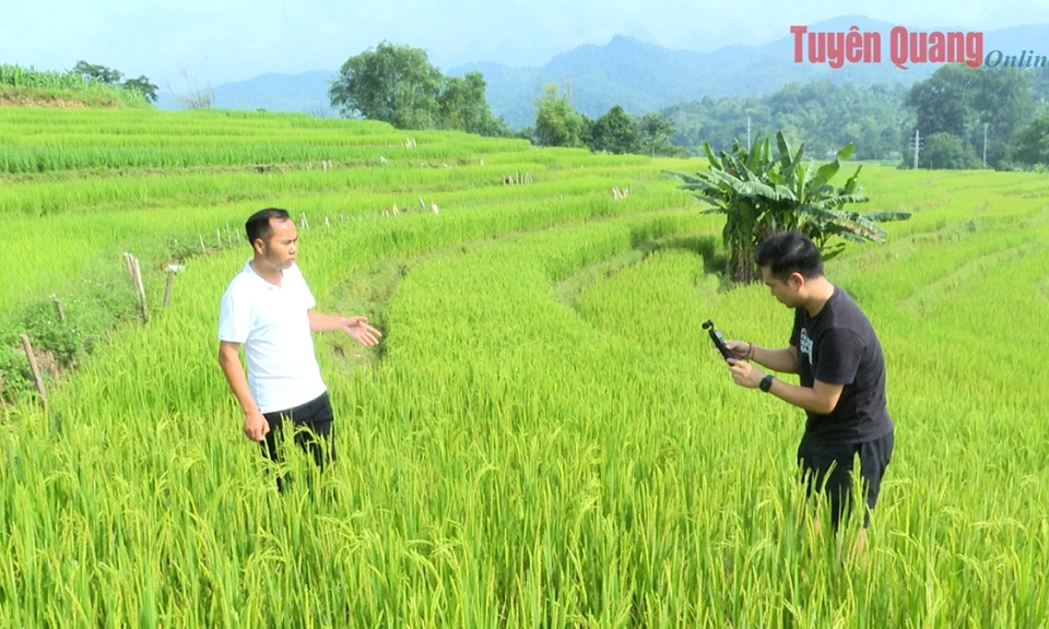Quảng b&aacute; du lịch xứ Tuy&ecirc;n tr&ecirc;n nền tảng số