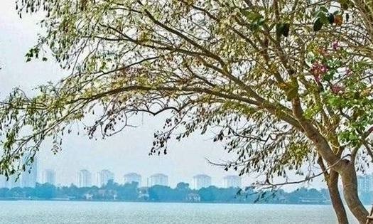 Th&aacute;ng 10, nhiệt độ cả nước cao hơn trung b&igrave;nh nhiều năm