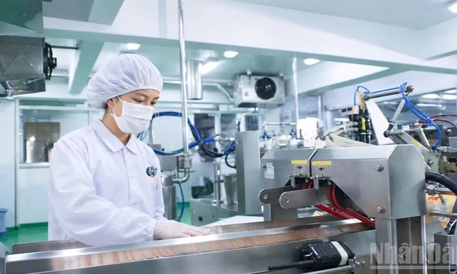 Tổ chức nhiều hoạt động hưởng ứng Ng&agrave;y Kỹ năng lao động Việt Nam năm 2026