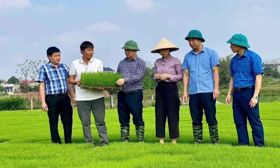 Đ&agrave;o tạo nghề cho lao động n&ocirc;ng th&ocirc;n